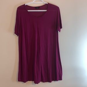 Aritzia long sleeve shirt/dress